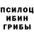 Псилоцибиновые грибы прущие грибы Tengiz G