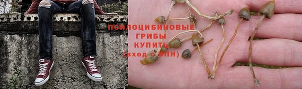 МДПВ Бугульма
