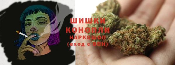 ешки Бородино