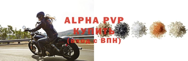 ешки Бородино