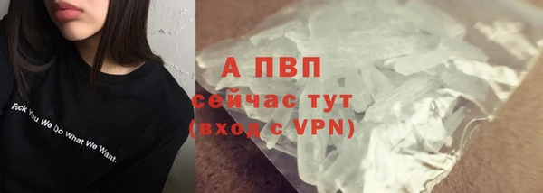ешки Бородино