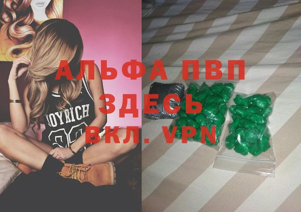 ешки Бородино