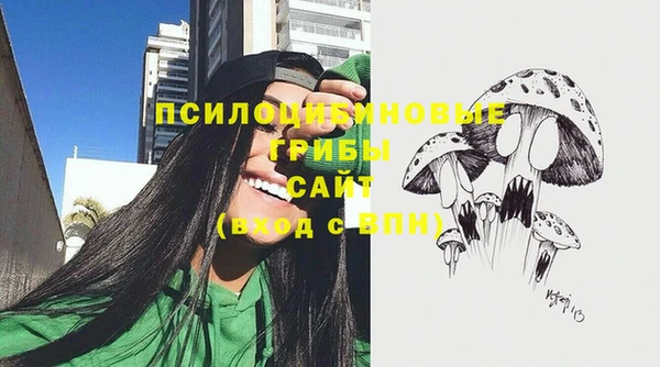 спиды Бронницы