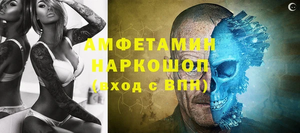 ешки Бородино