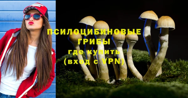 МДПВ Бугульма