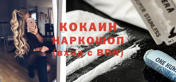 ешки Бородино
