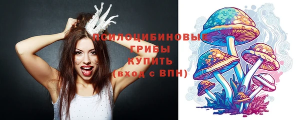 МДПВ Бугульма