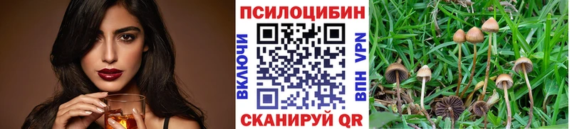 закладка  Верхняя Тура  Псилоцибиновые грибы мицелий 